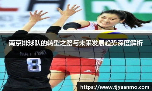 南京排球队的转型之路与未来发展趋势深度解析