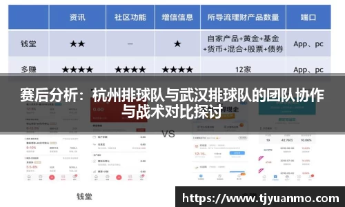 赛后分析：杭州排球队与武汉排球队的团队协作与战术对比探讨
