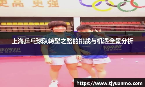 上海乒乓球队转型之路的挑战与机遇全景分析